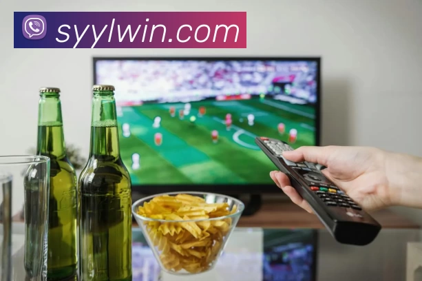 多媒体互动体验